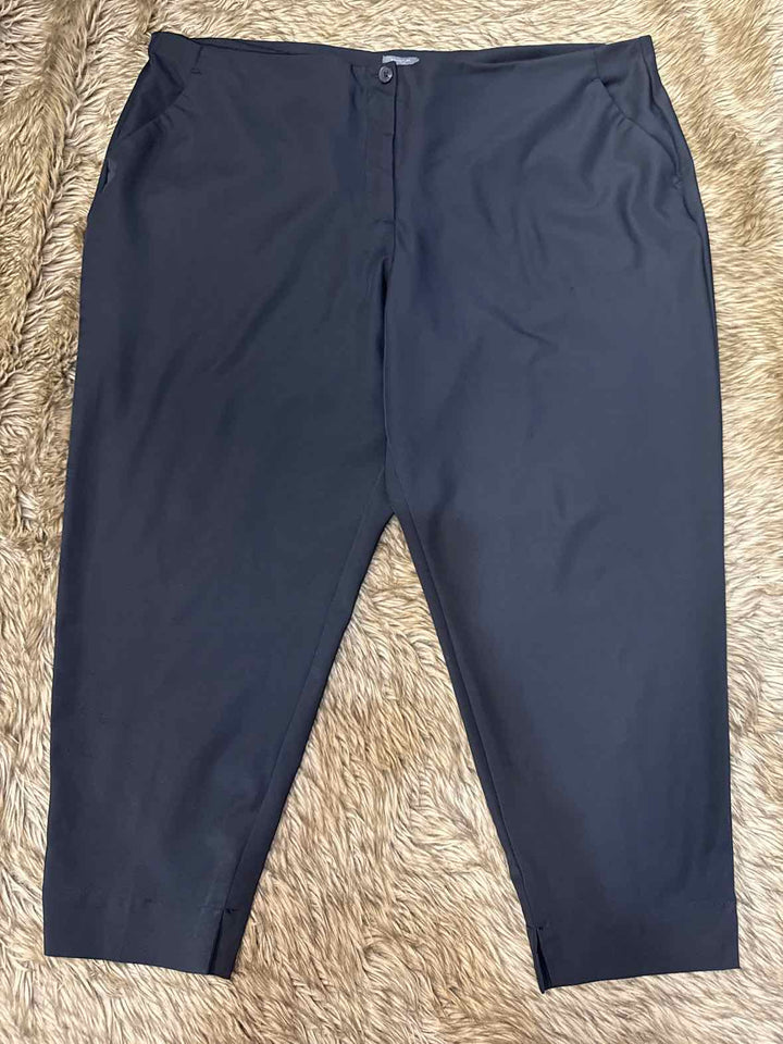 24W - Worthington Pants