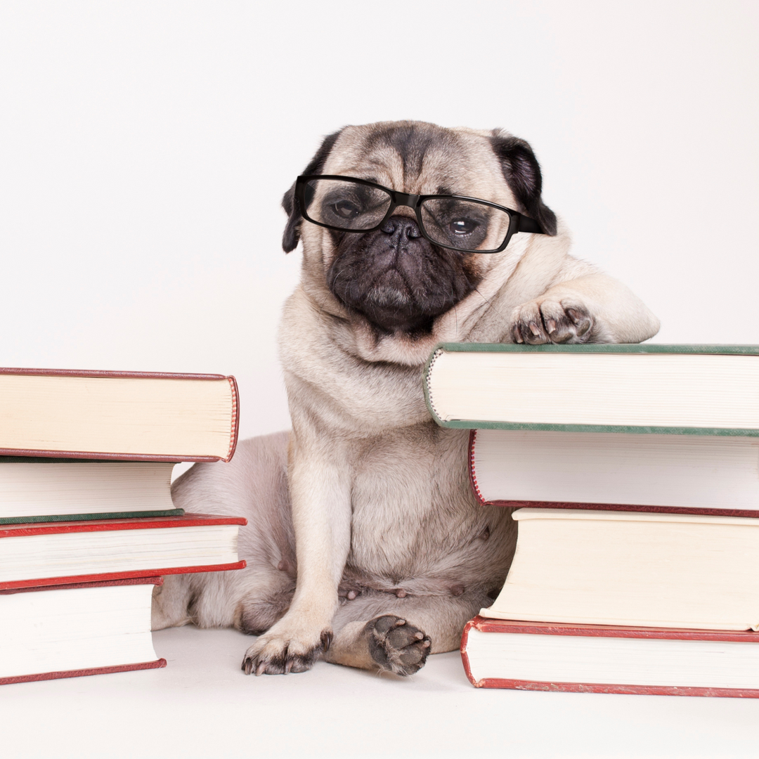 Puzzles & Books