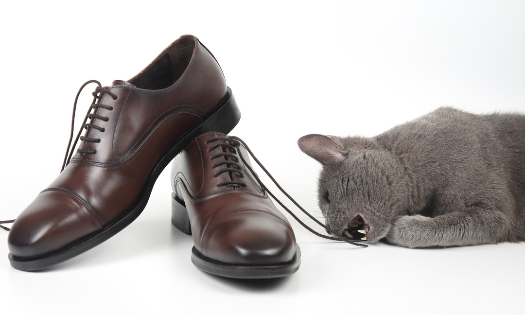 Mens Shoes