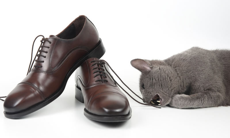 Mens Shoes