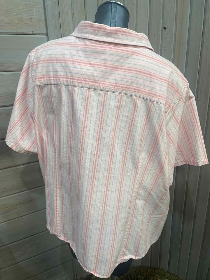 3x - Basic Editions Button Down