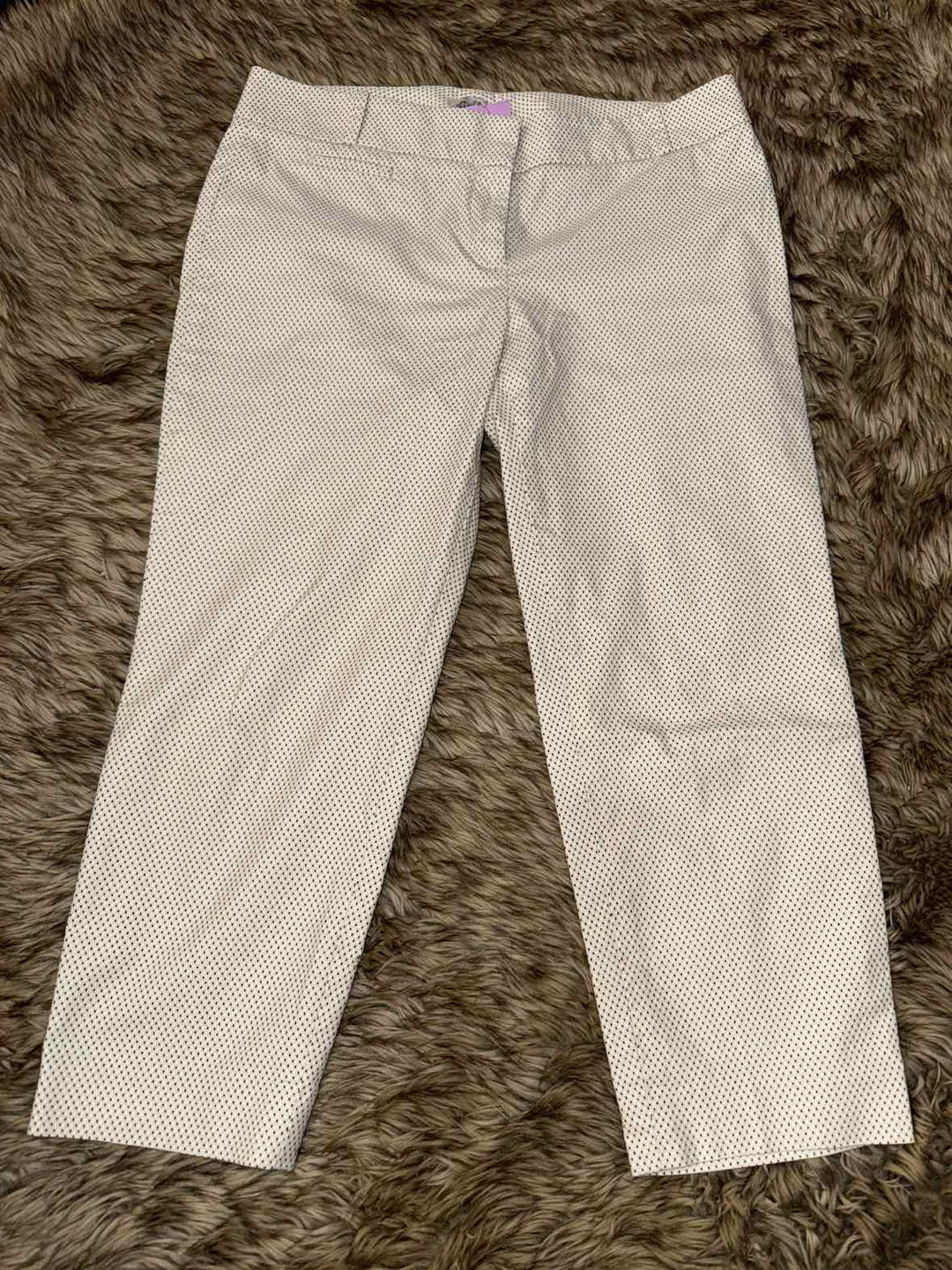 10P - Loft Pants