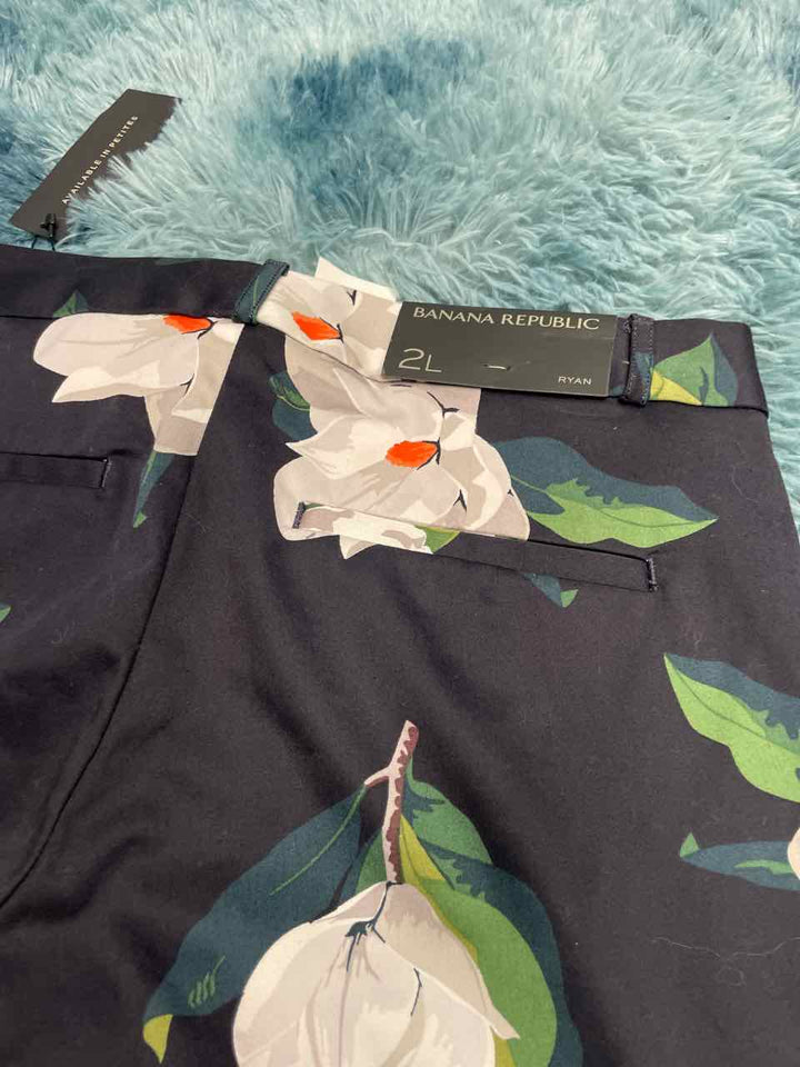 2L - Banana Republic Pants