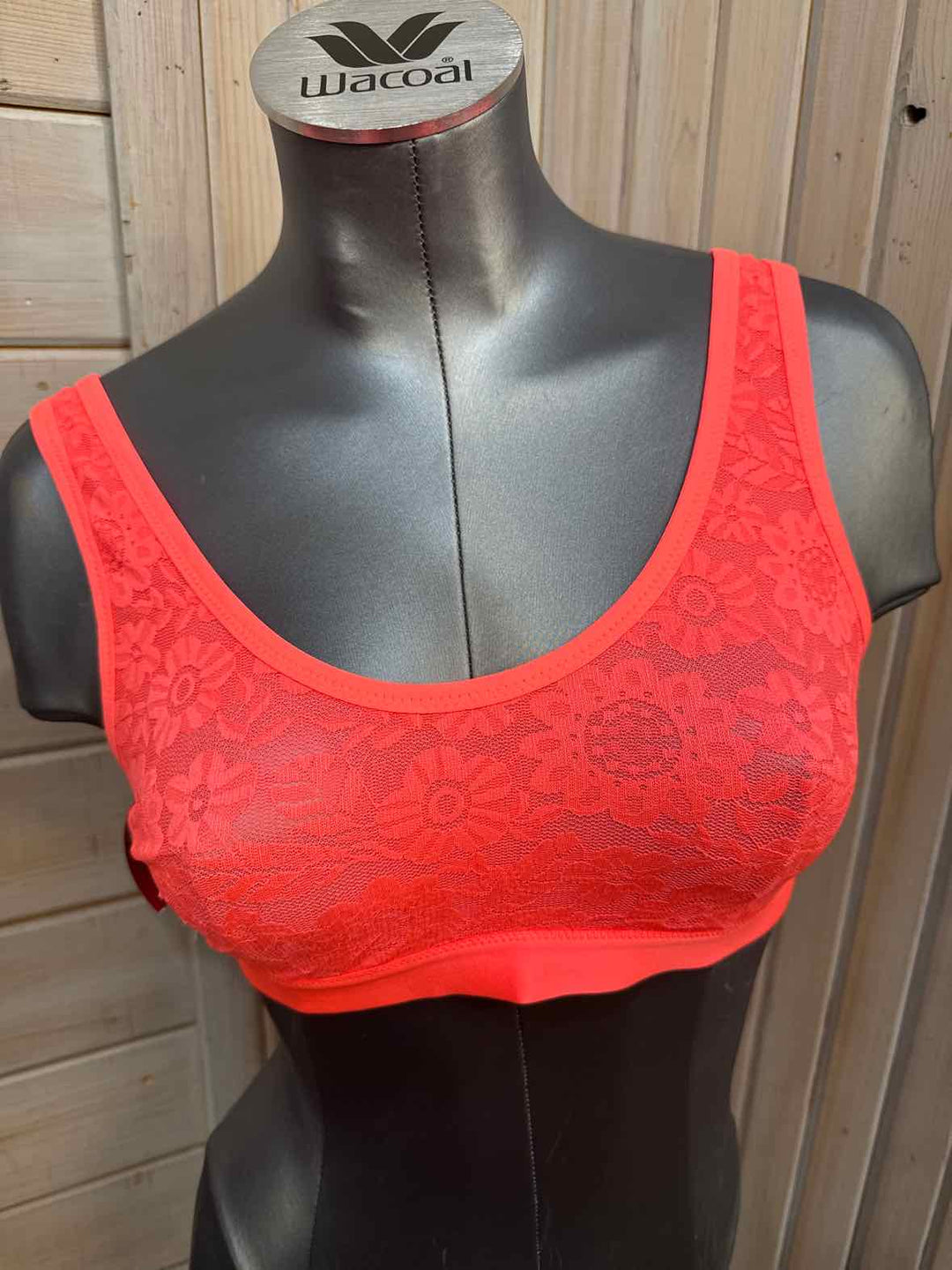 L - Aerie Bra