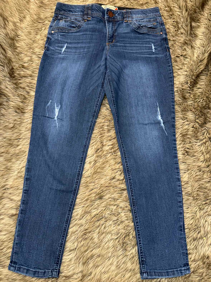 12 - Democracy Jeans