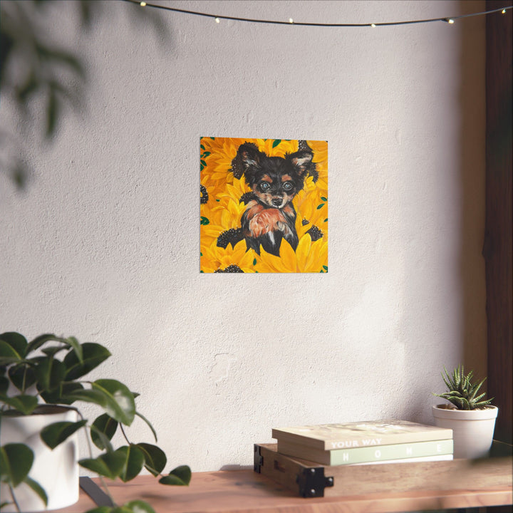 Sunflower Chihuahua Poster Print — Cute Dog Art by Stephanie Davis