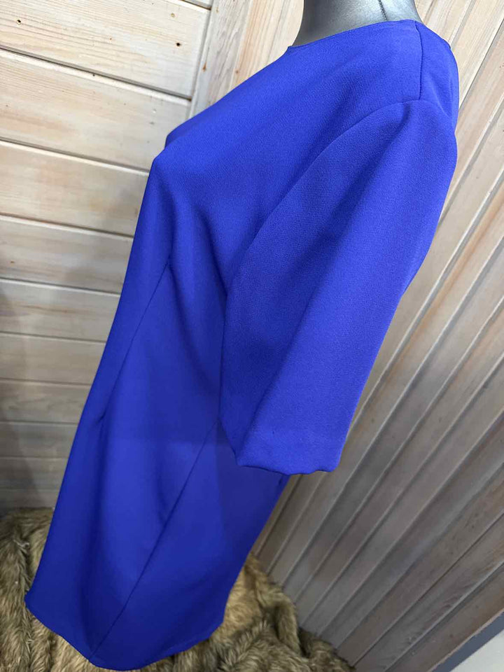 14 - Drapers & Damons Dress