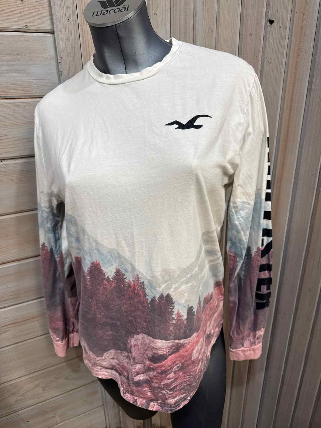 M - Hollister Long Sleeve