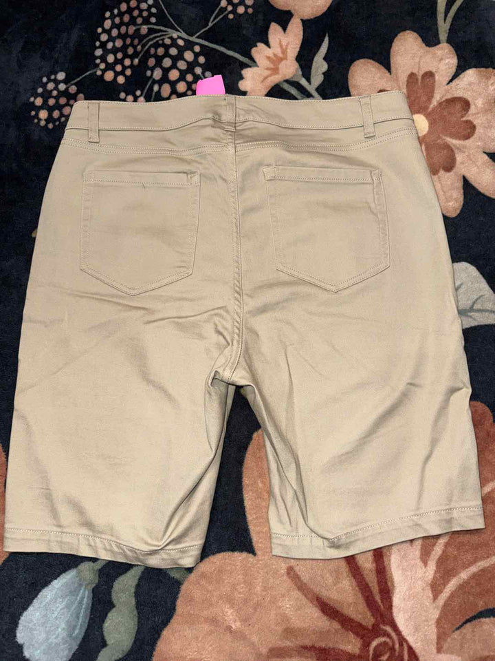 16 - Lane Bryant Shorts