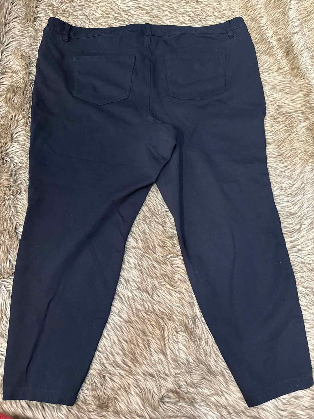 24 - Torrid Pants