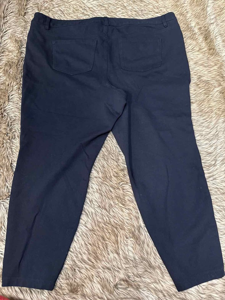 24 - Torrid Pants