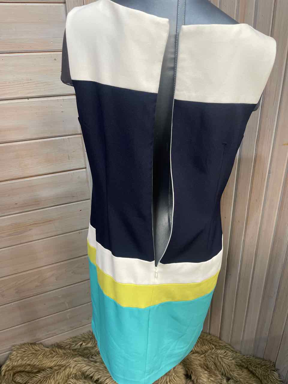 14 - Roz & Ali Dress