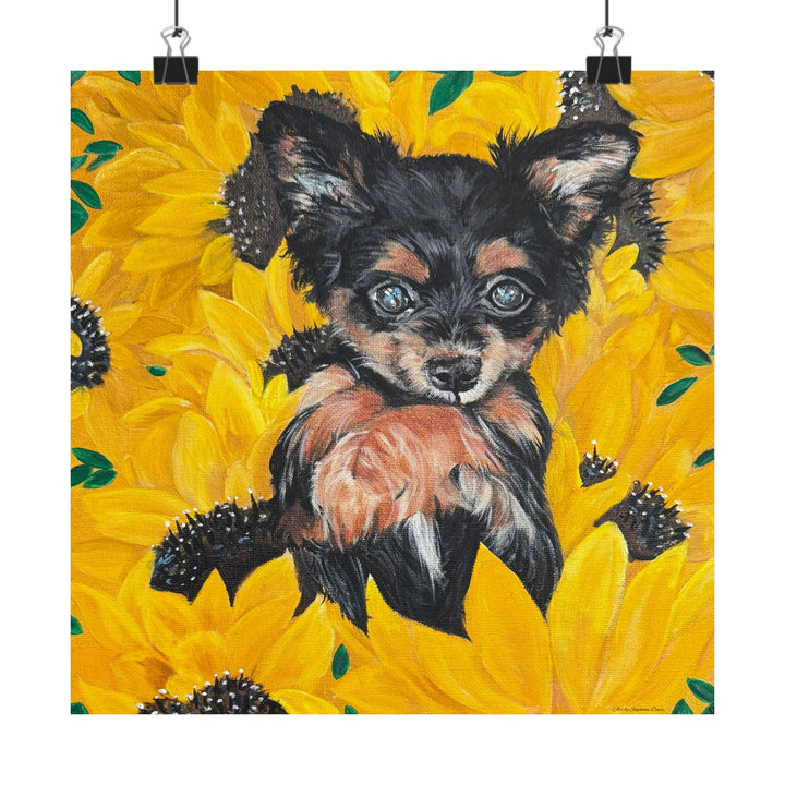 Sunflower Chihuahua Poster Print — Cute Dog Art by Stephanie Davis