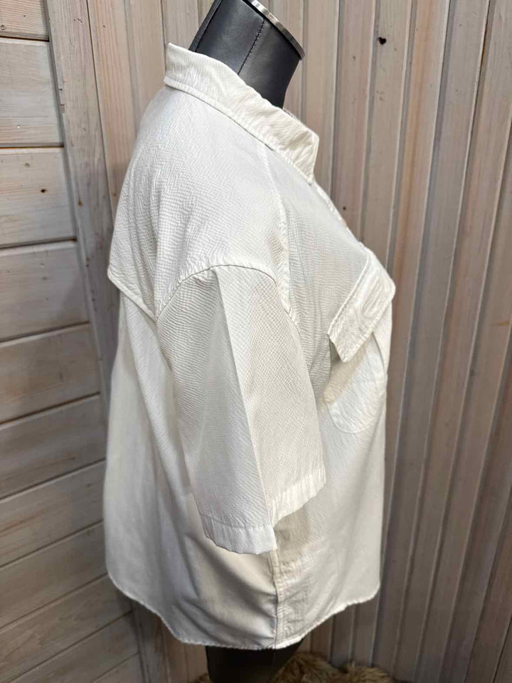 XL - Eddie Bauer Button Down