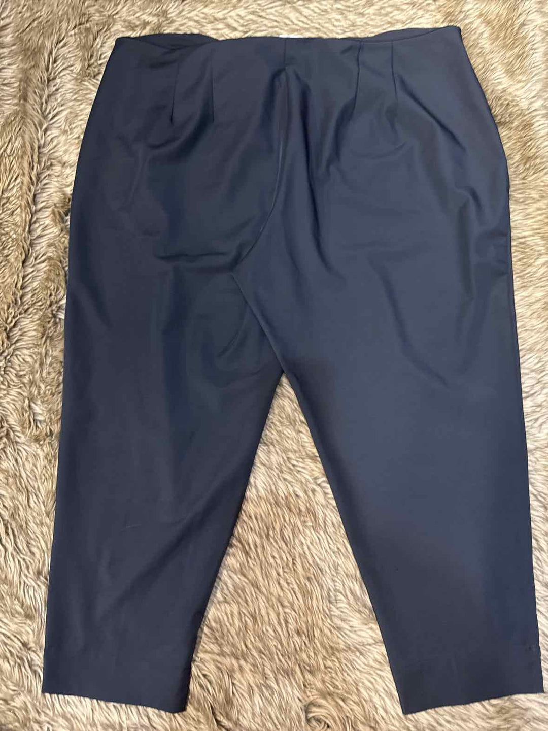 24W - Worthington Pants
