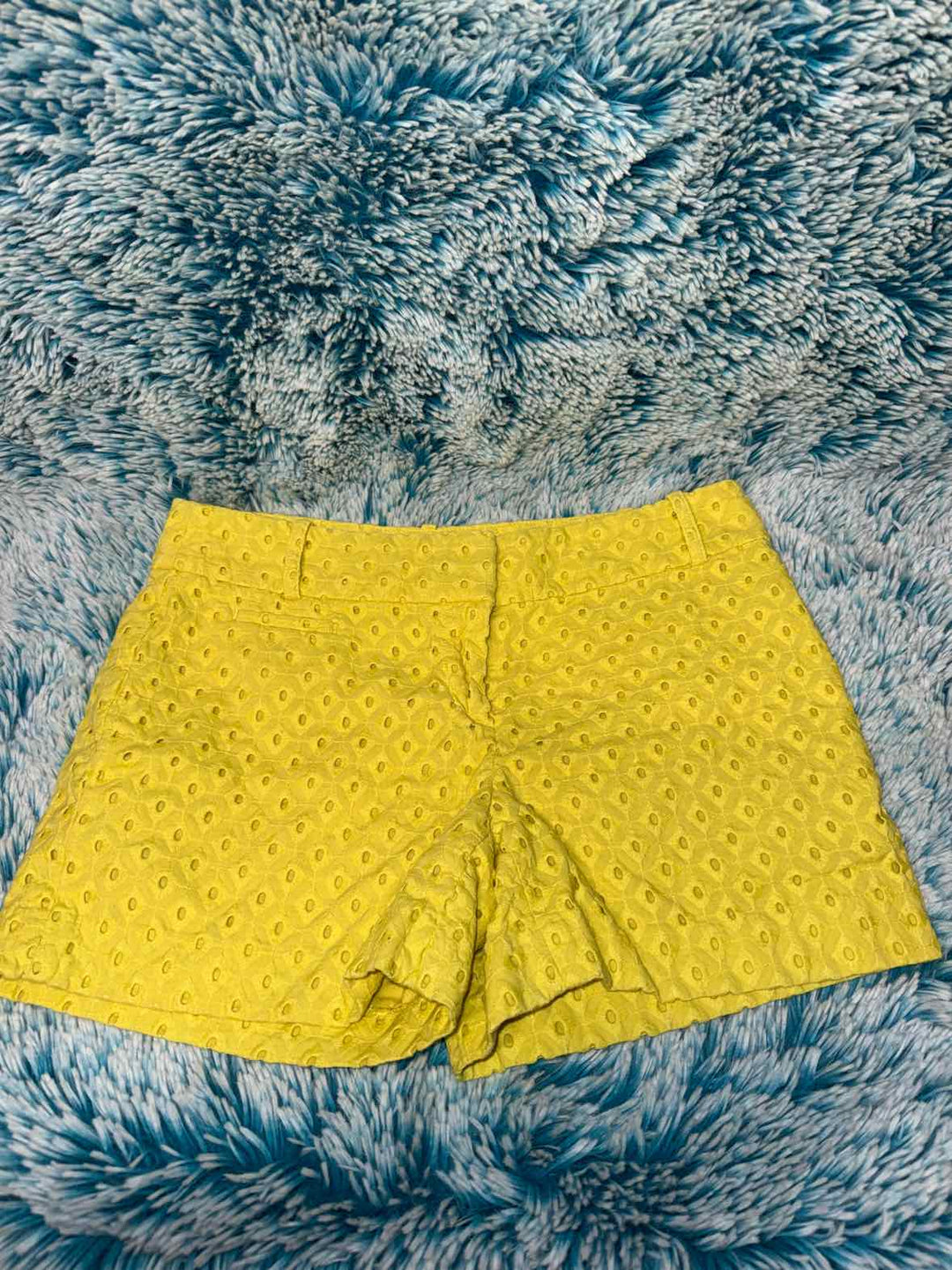 0 - Loft Shorts