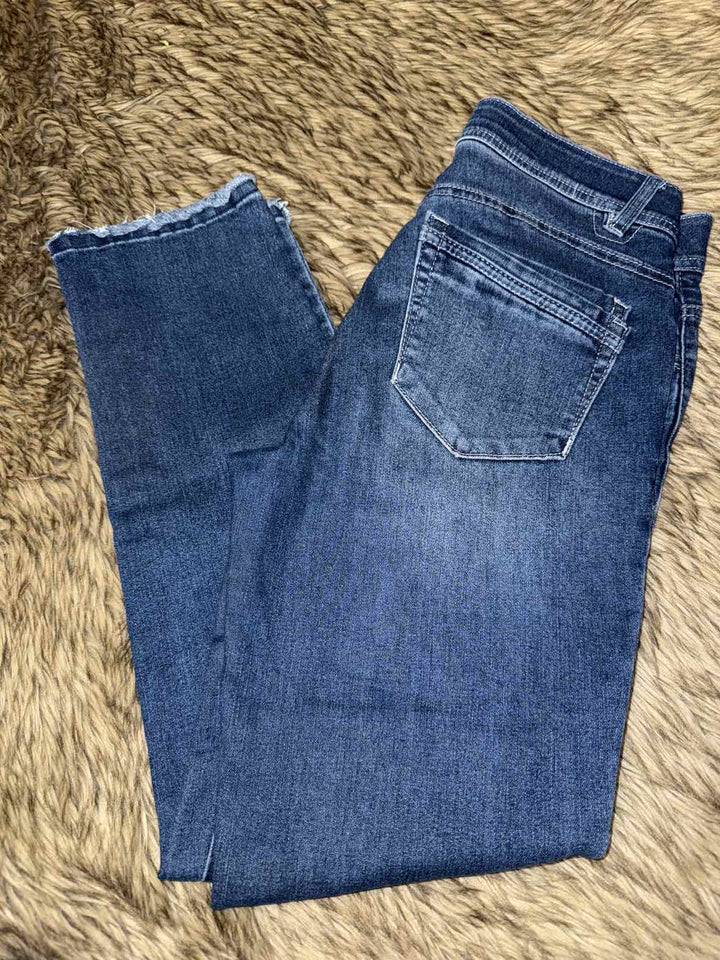 2 - Democracy Jeans
