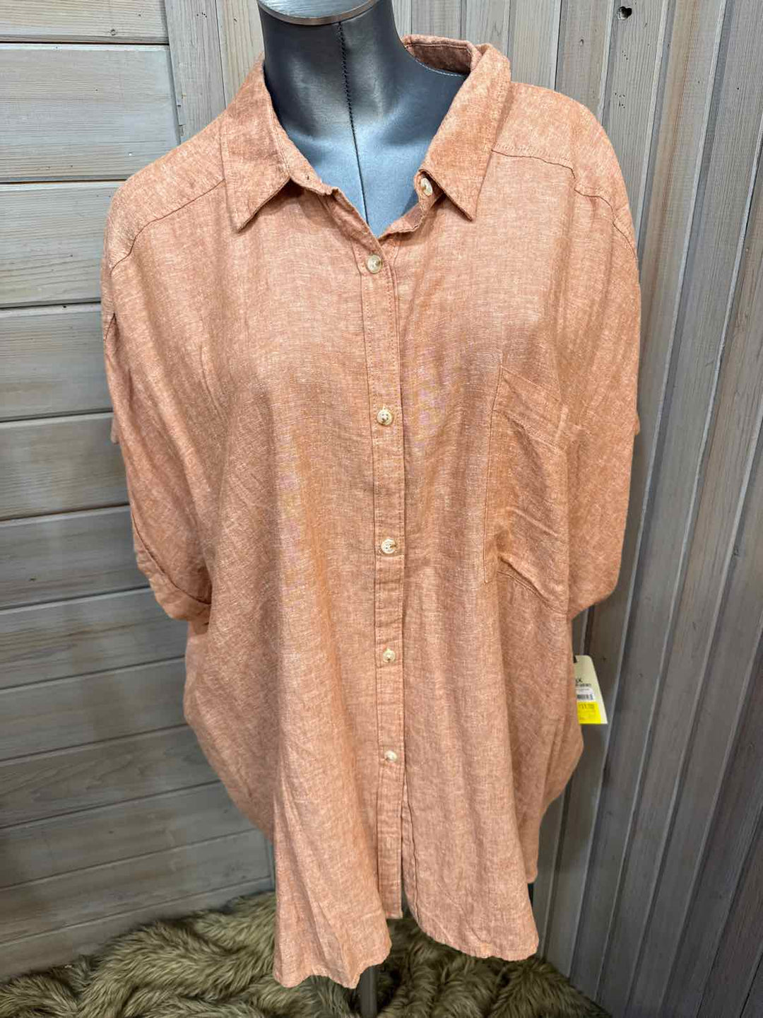 3X - terra & sky Button Down