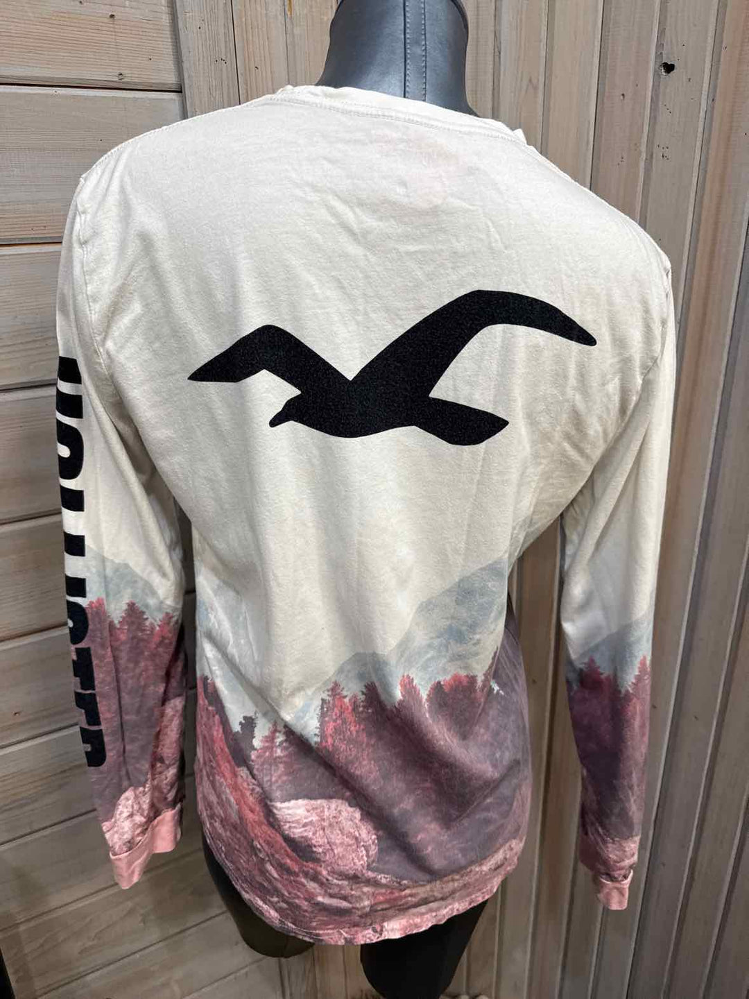 M - Hollister Long Sleeve