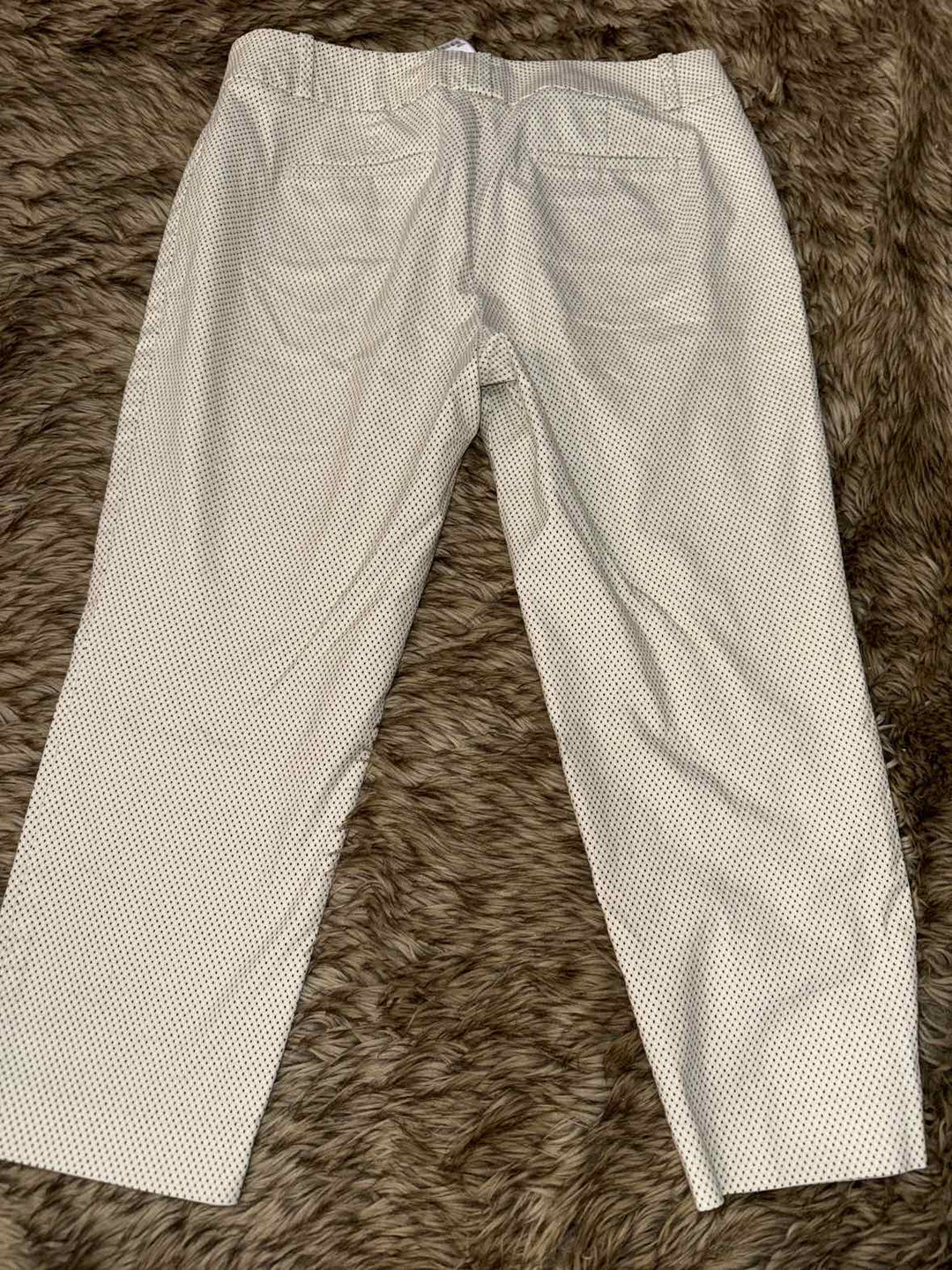 10P - Loft Pants