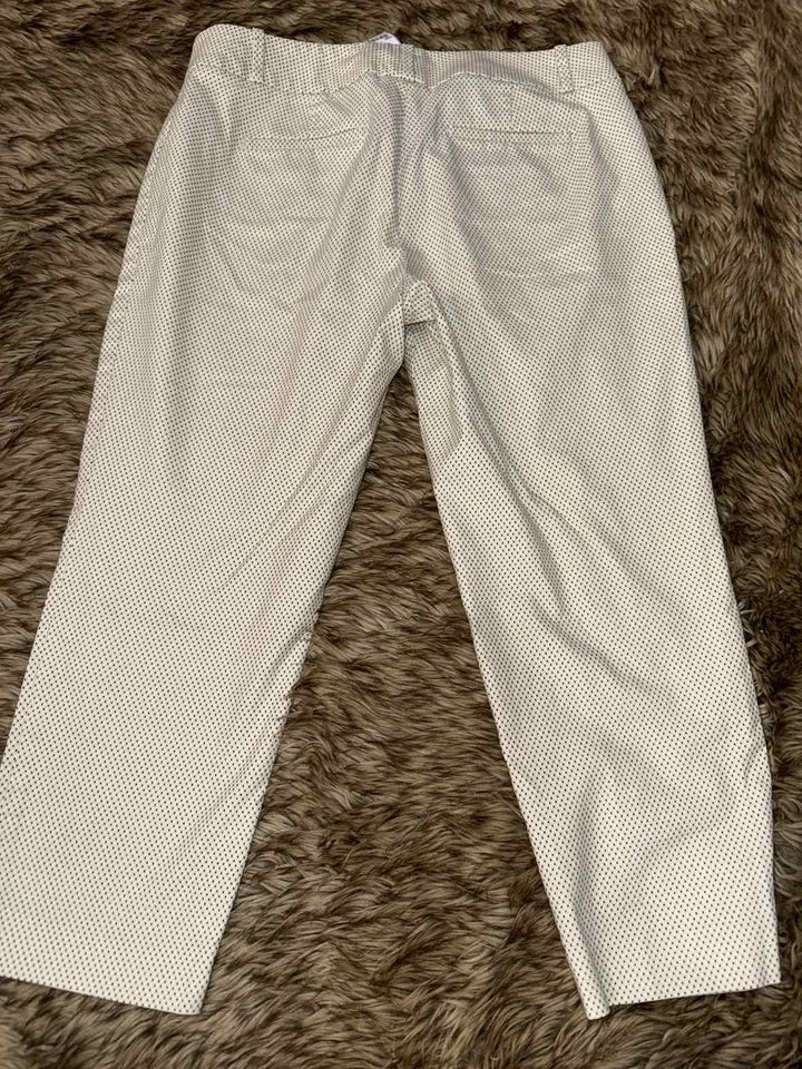 10P - Loft Pants