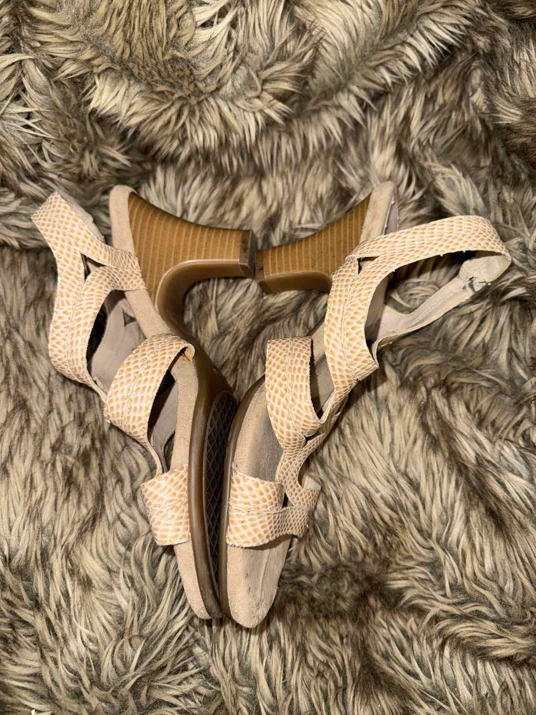 9.5 - Aerosoles Heals