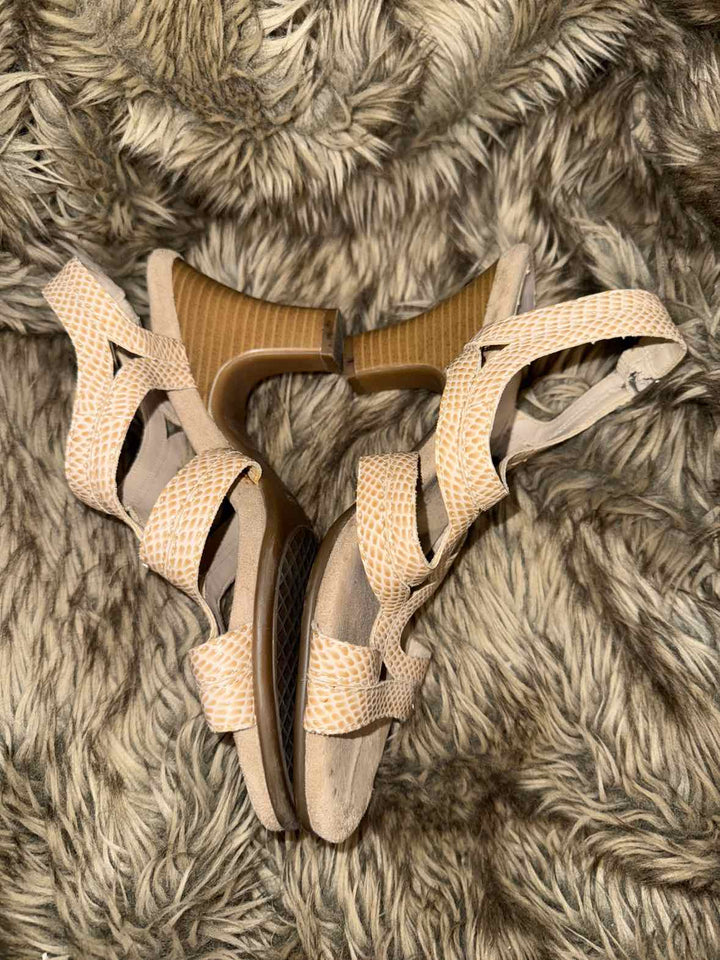 9.5 - Aerosoles Heals