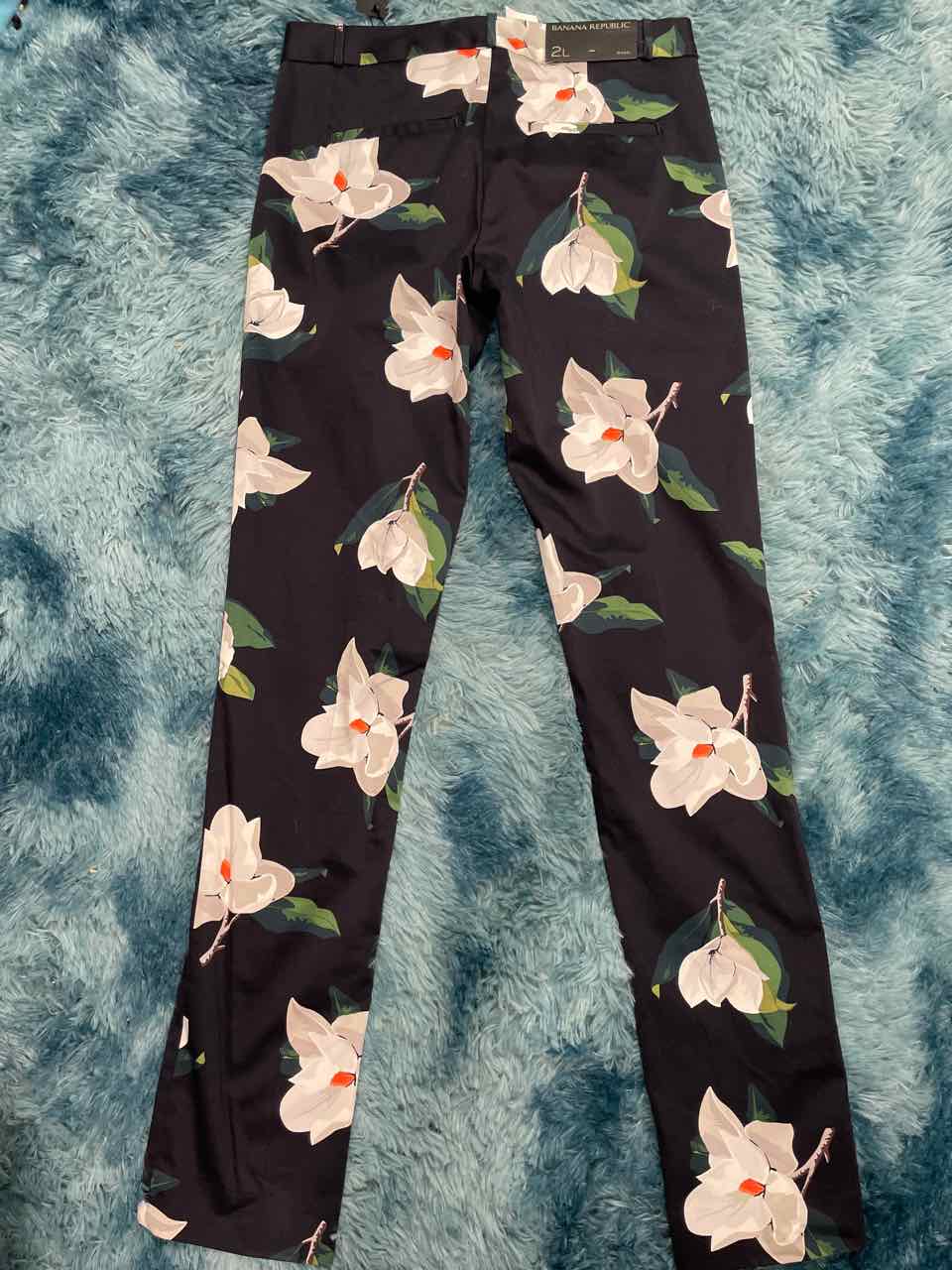 2L - Banana Republic Pants