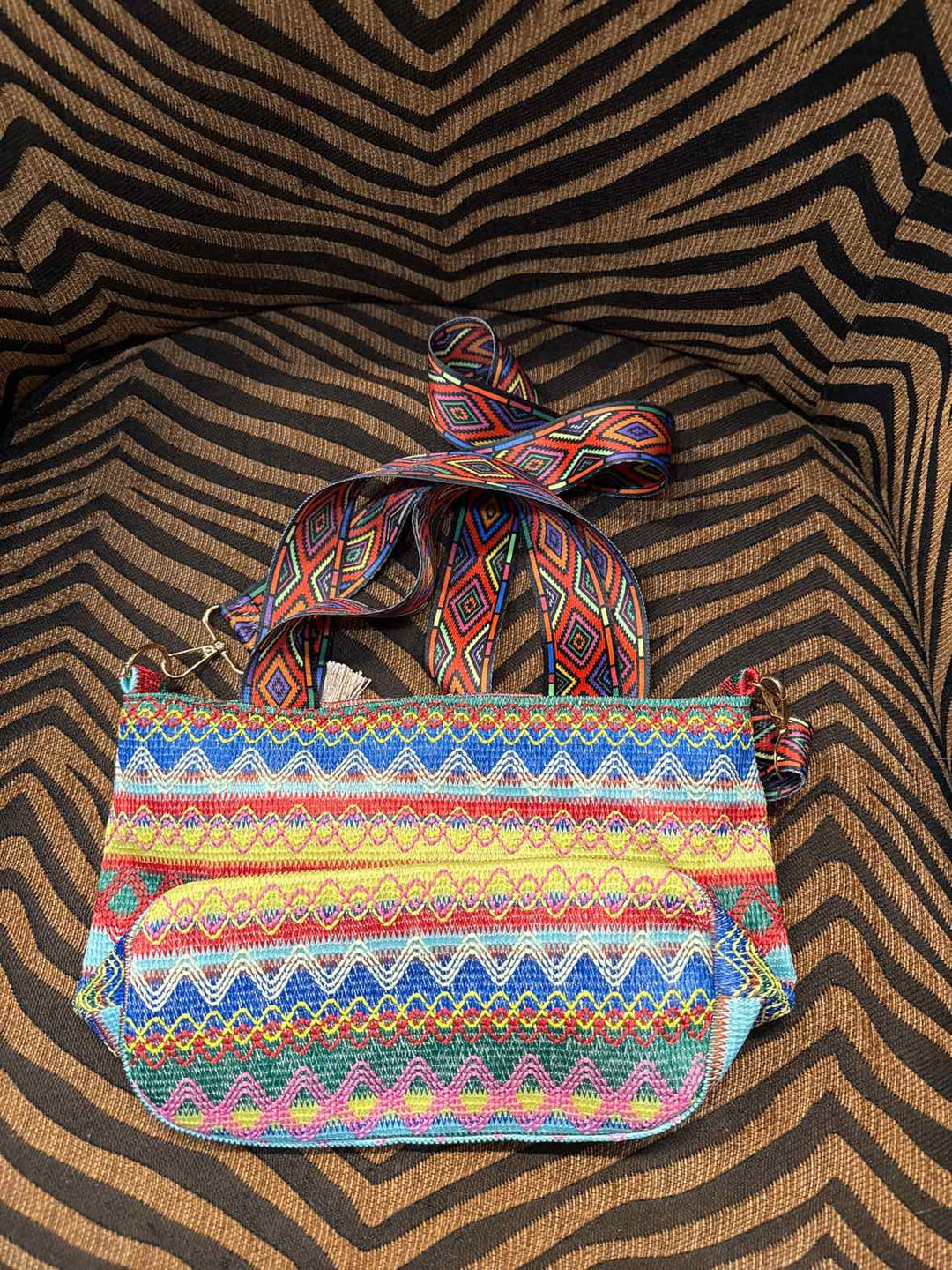 Purse - Multicolor Tassle Bag