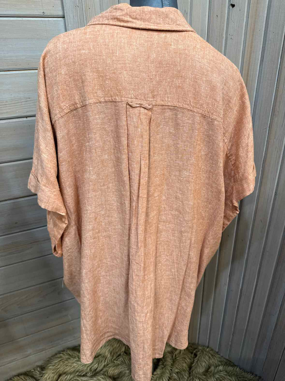 3X - terra & sky Button Down
