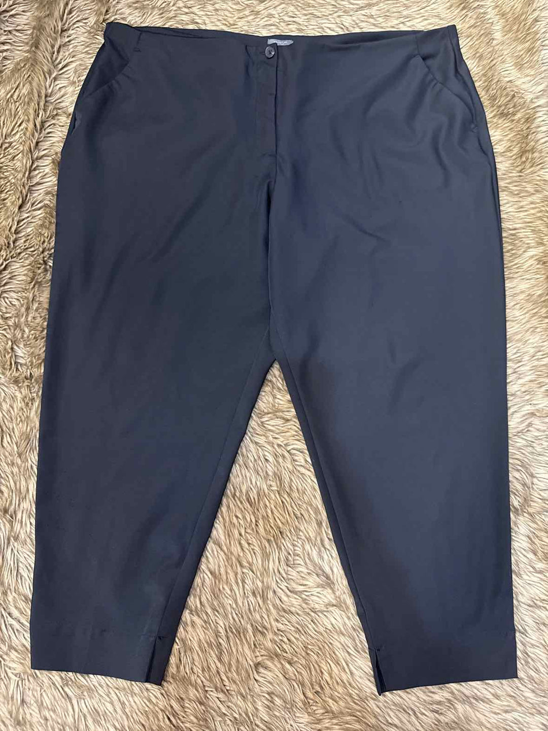 24W - Worthington Pants