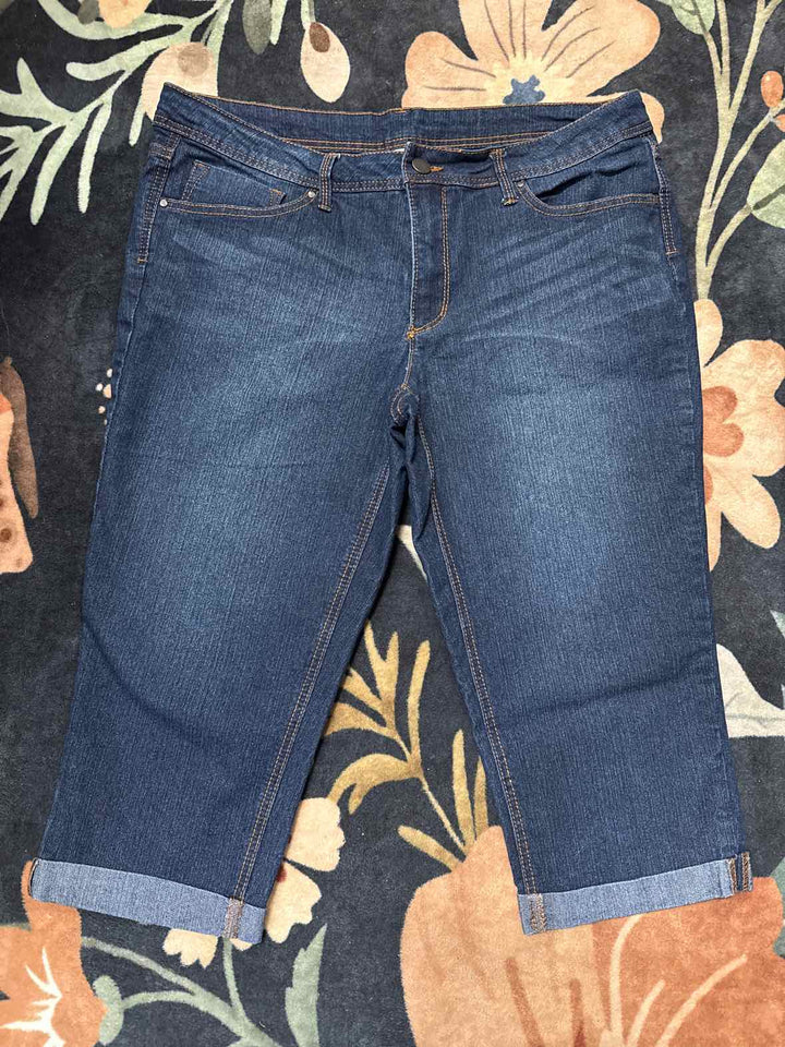 16 - Faded Glory Capri