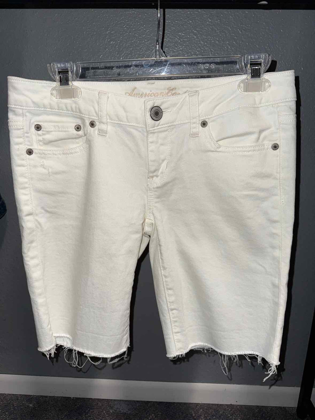 4 - American Eagle Shorts