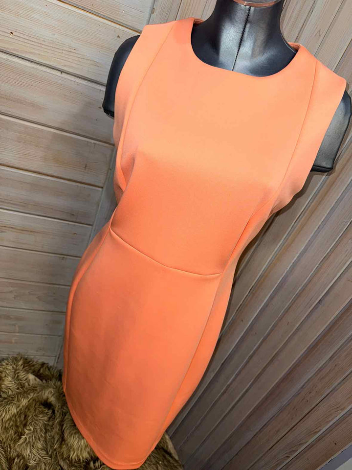 12 - Calvin Klein Dress