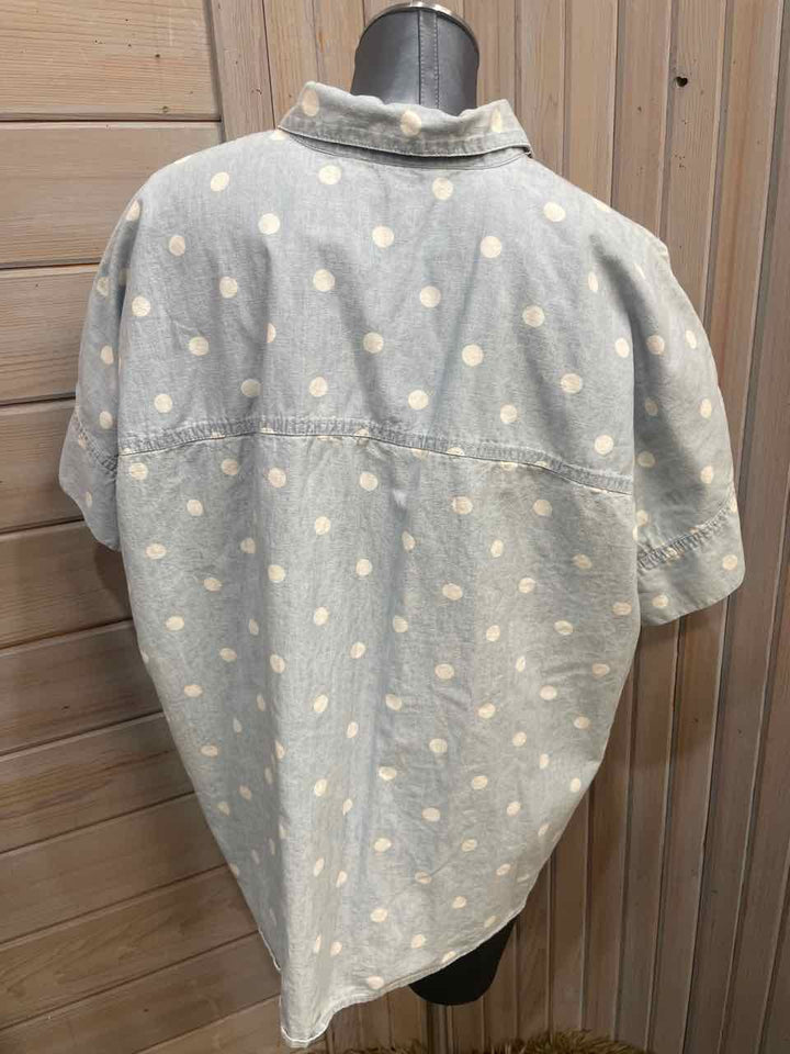 XL - Chaps Button Down