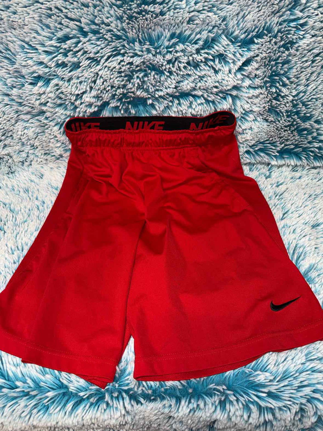 S - Nike Shorts