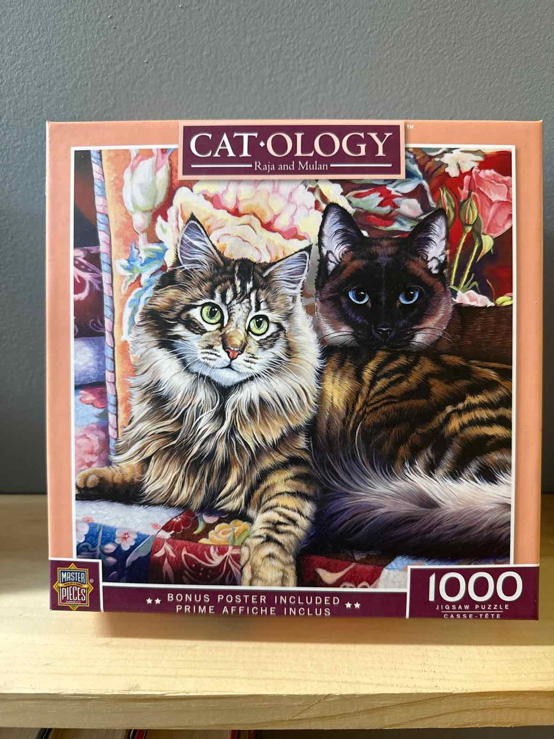 Catology 1000 Piece