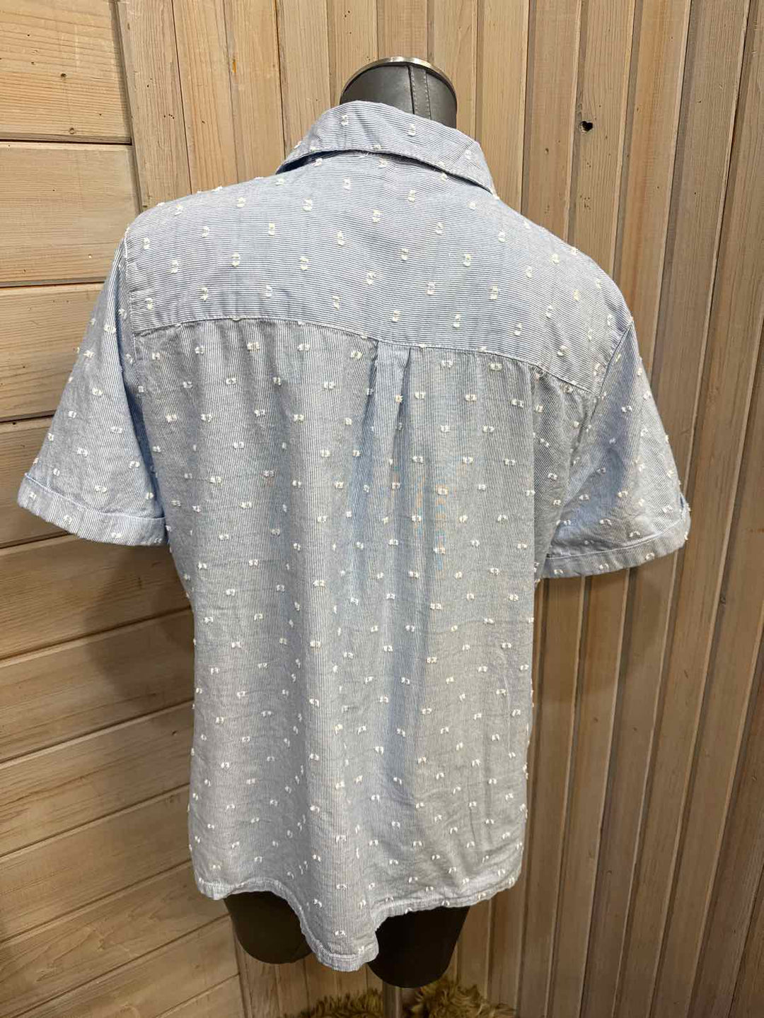 XL - Liberty Lane Button Down