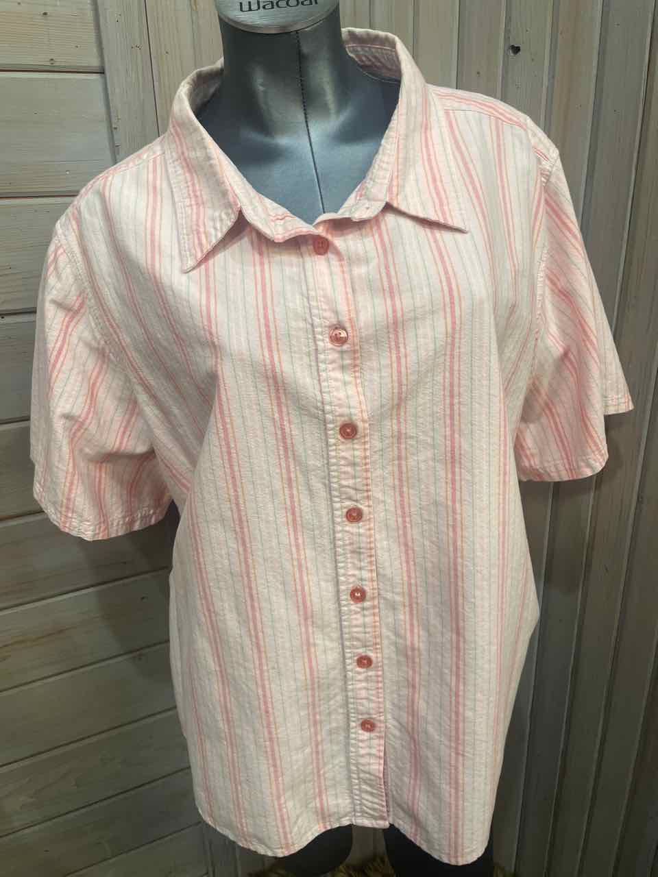 3x - Basic Editions Button Down