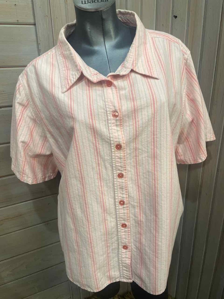 3x - Basic Editions Button Down