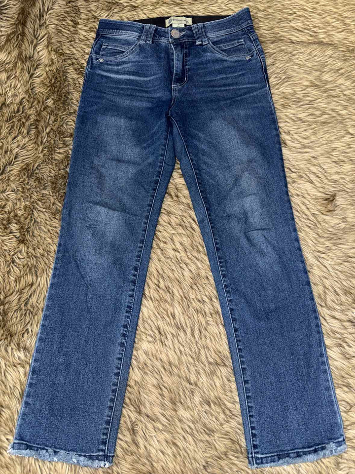 2 - Democracy Jeans