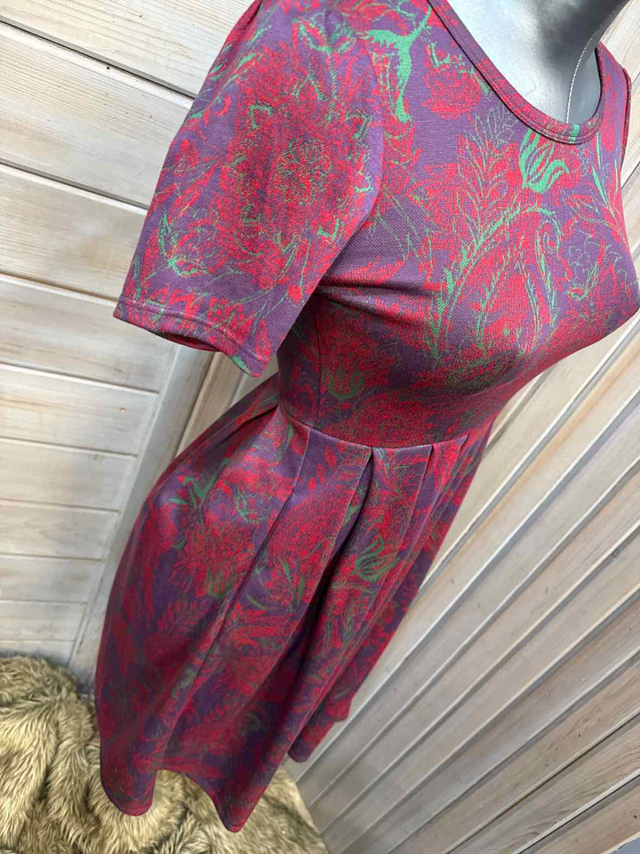 XS - LuLaRoe Dress
