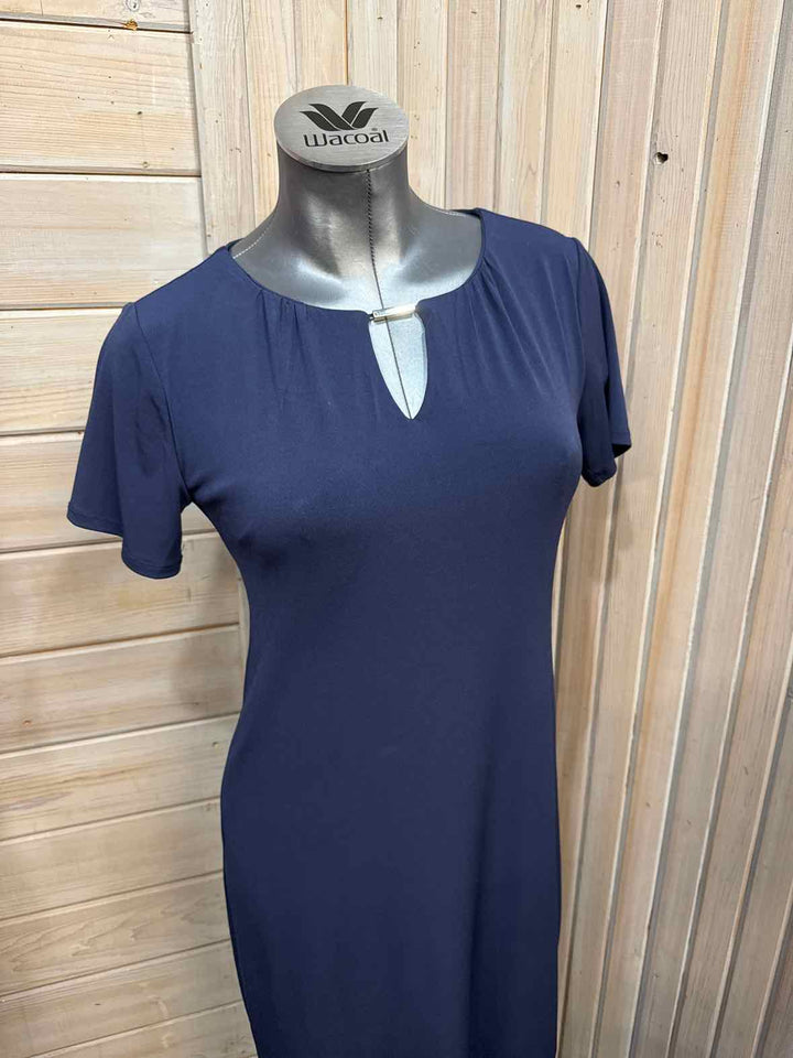 00 - Chico's Dress