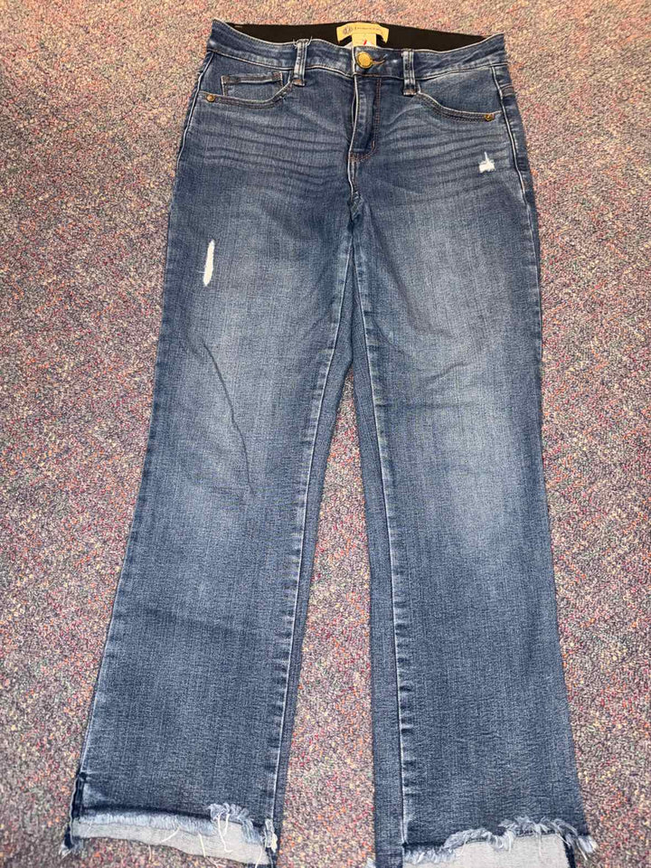 2 - Democracy Jeans