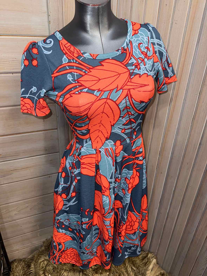 XS - LuLaRoe Dress