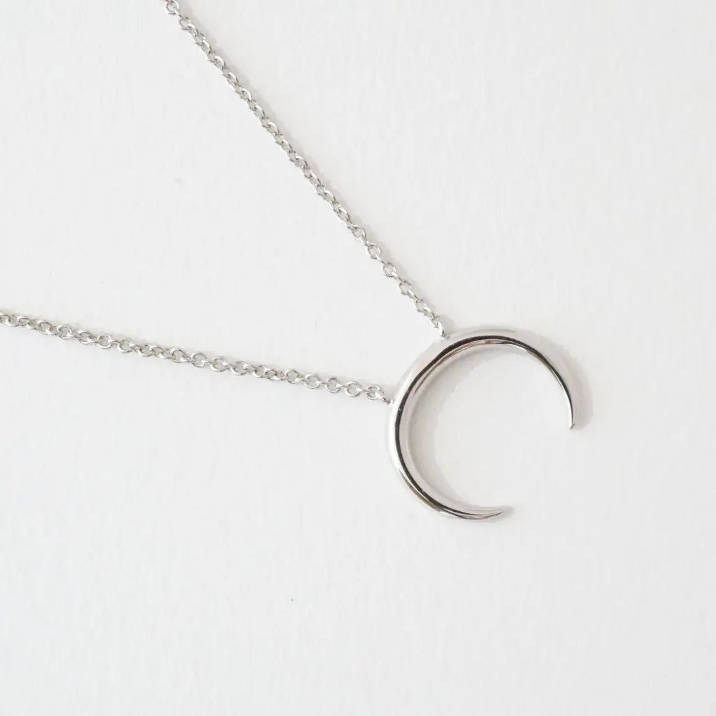 Crescent Horn Necklace