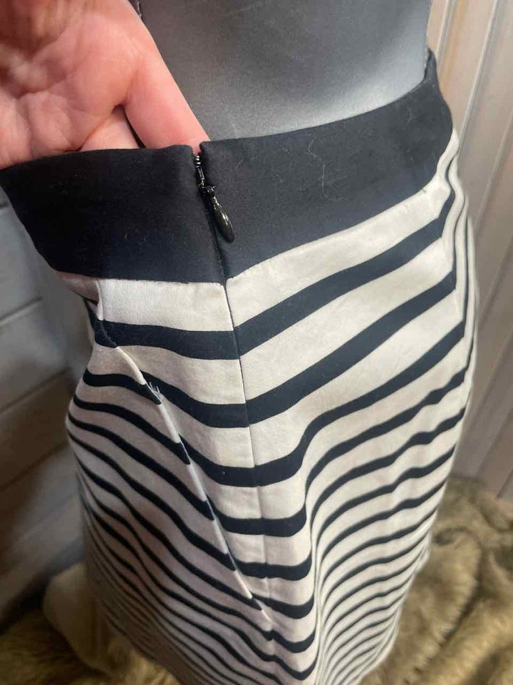 6 - The Limited Skirt