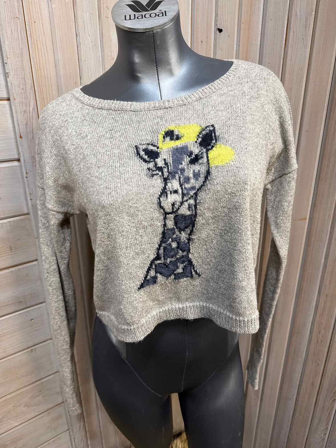 M/L - Hollister Sweater