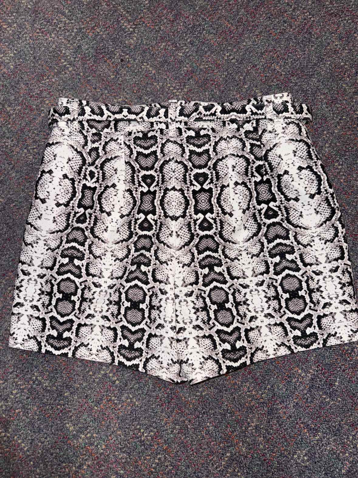 4 - Express Shorts