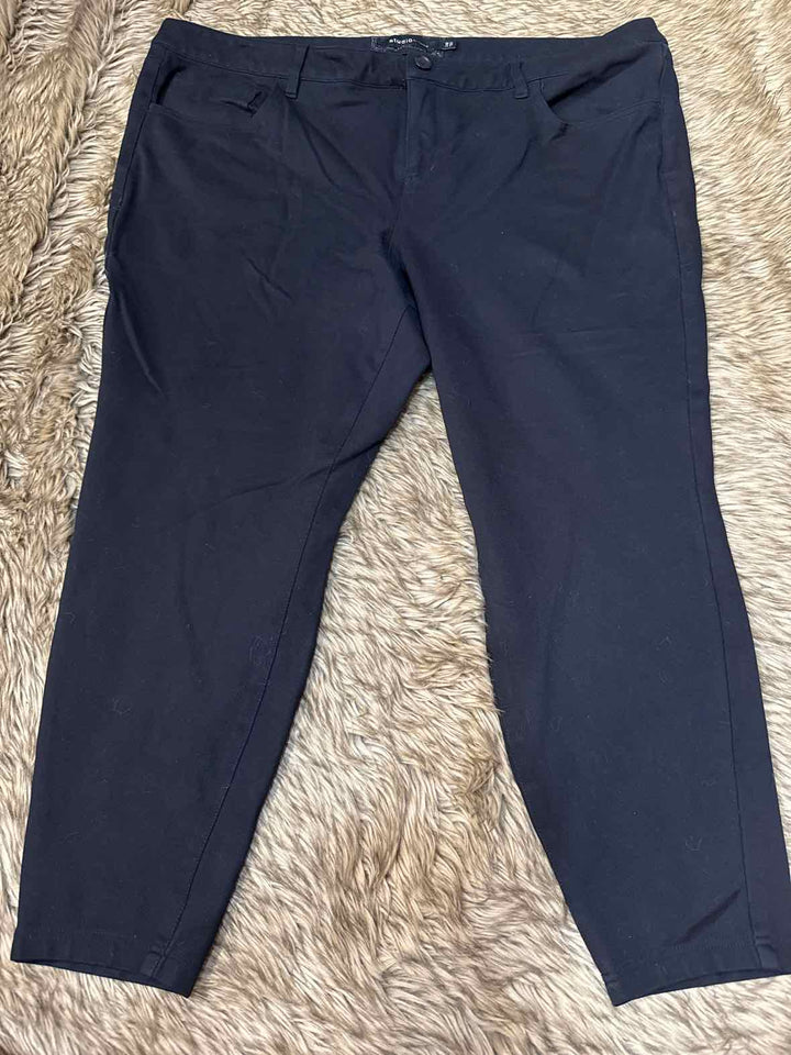 24 - Torrid Pants